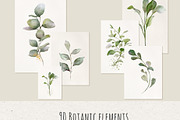 Watercolor Green Leaves Collection, a Decorative Illustration by Damian Roh (Thumbnail 4 of 19)