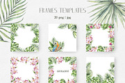 TROPICAL FOREST - Watercolor set, an Animal Illustration by Navenzeles (Thumbnail 6 of 16)