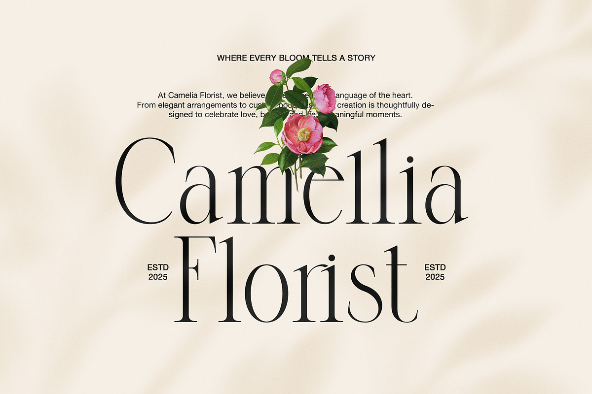 Dringko Elegant Serif Font, a Serif Font by Graphicxell (Photo 5 of 8)