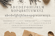 Beadcharm: Weird and Wonderful Font, a Serif Font by Letterhanna Studio (Thumbnail 2 of 9)