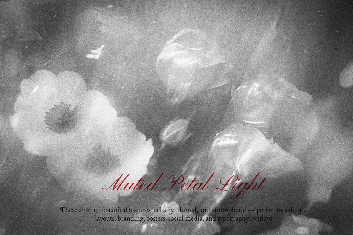 FLORAL Dusty Monochrome Backgrounds, a Background Graphic by Anzhelika (Photo 2 of 10)