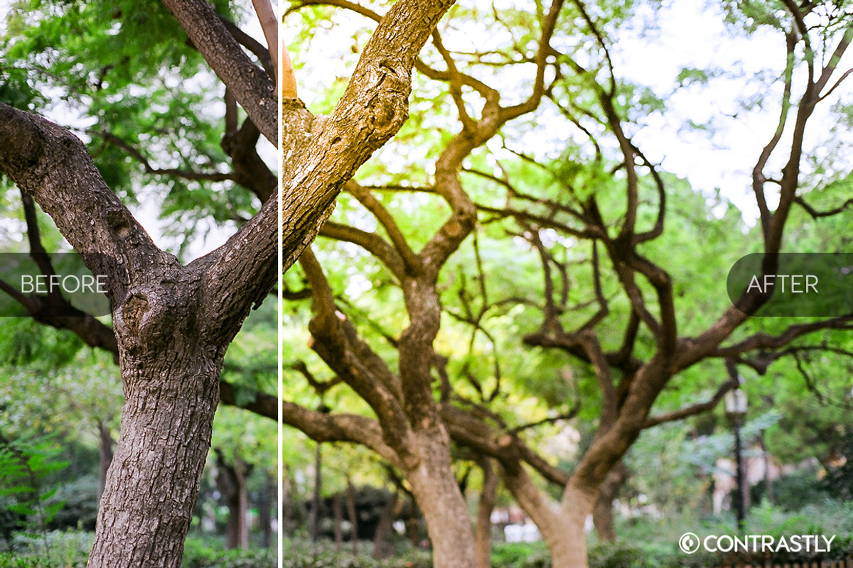 Solar Spots Lightroom Presets, a Plug-in Add-On by Contrastly Shop (Photo 2 of 4)