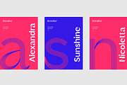 Brendiva Font Family, a Sans Serif Font by Digitype Studio (Thumbnail 6 of 10)