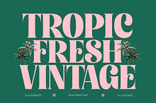 Tropic Fresh Bold Vintage Serif