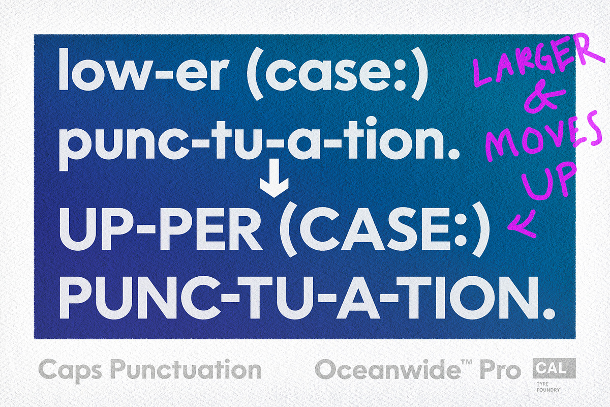 Oceanwide Pro Family, a Sans Serif Font by California Type Foundry (Photo 6 of 13)