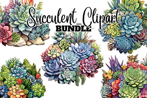 Succulents Arrangements Clipart