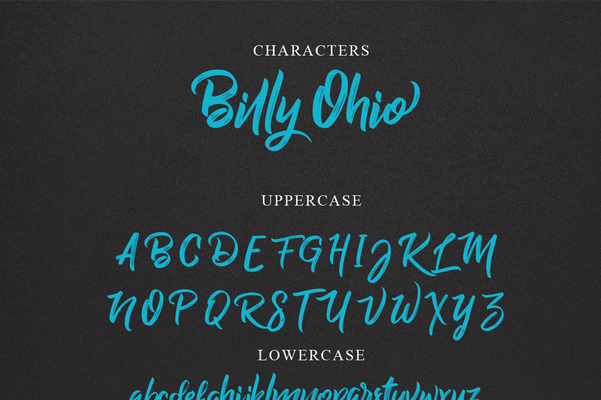 Billy Ohio Typeface, a Script Font by alit design (Photo 8 of 15)