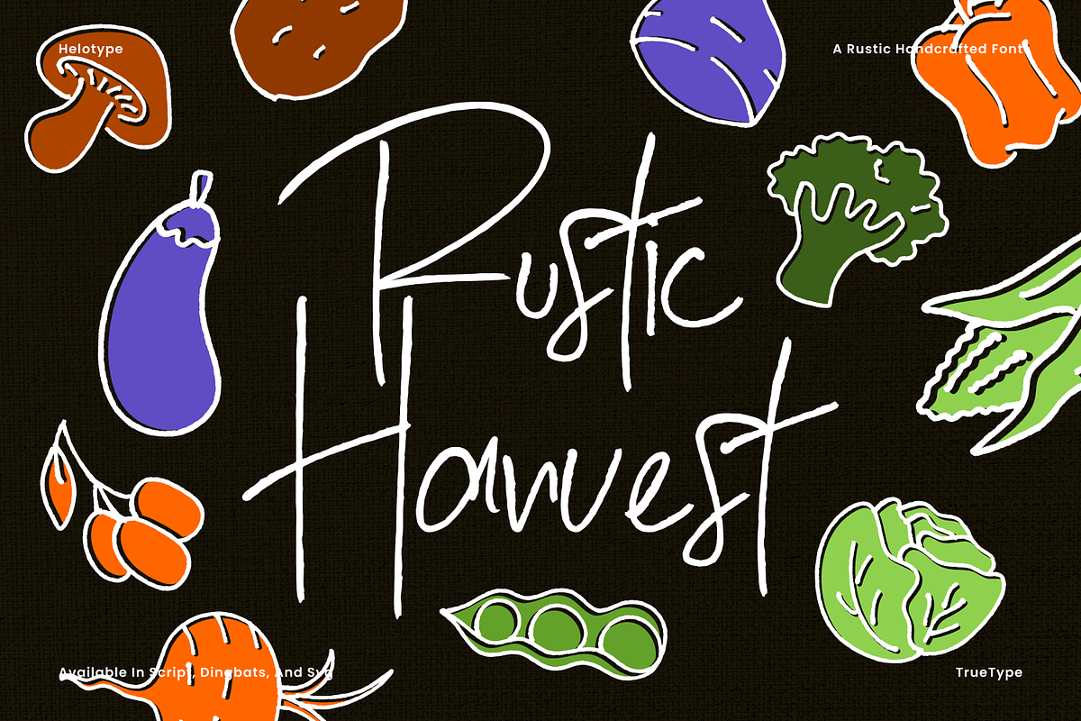 Rustic Harvest Bundle, a Handwritten Font by Helotype (Photo 1 of 7)