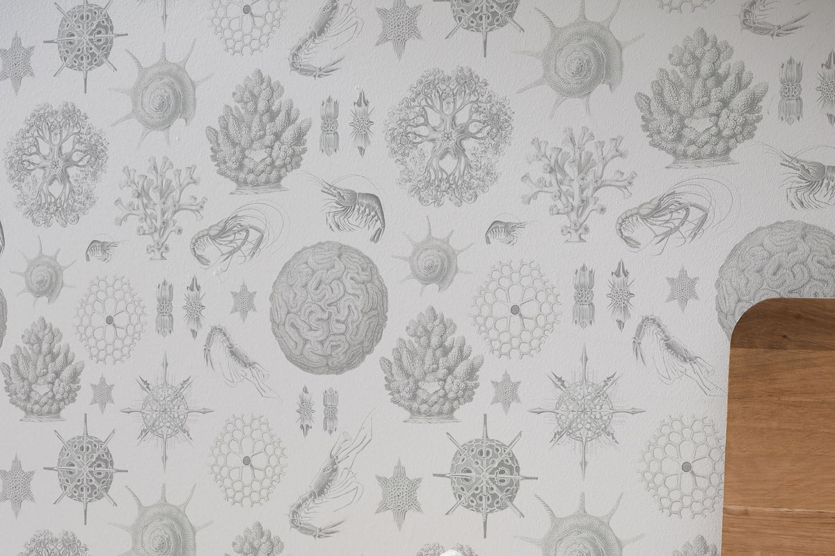 Ocean Symphony vintage design set, an Object Graphic by Beauty Drops (Photo 7 of 13)