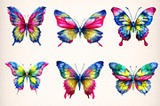 Watercolor Butterfly Clipart, an Animal Illustration by Digital Artistic99 (Thumbnail 2 of 11)
