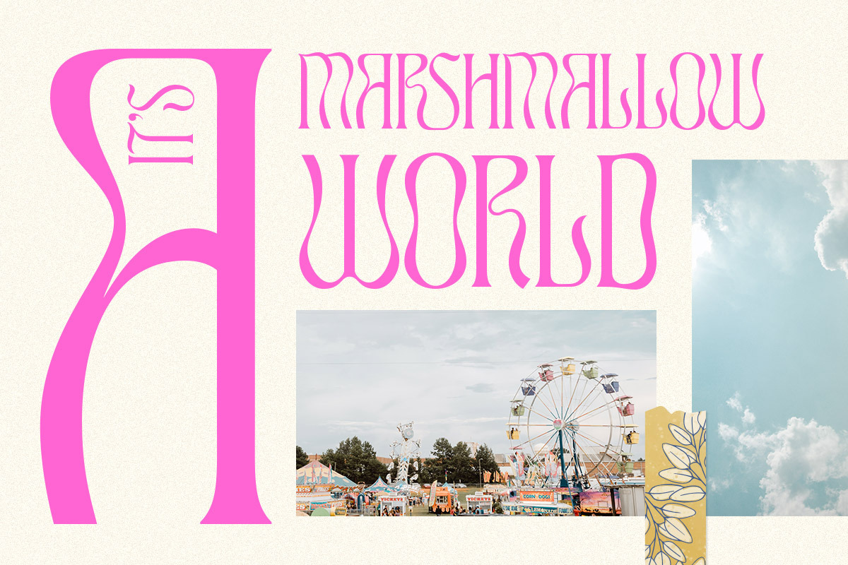 TAN - ASTORIA, a Serif Font by TanType (Photo 9 of 21)