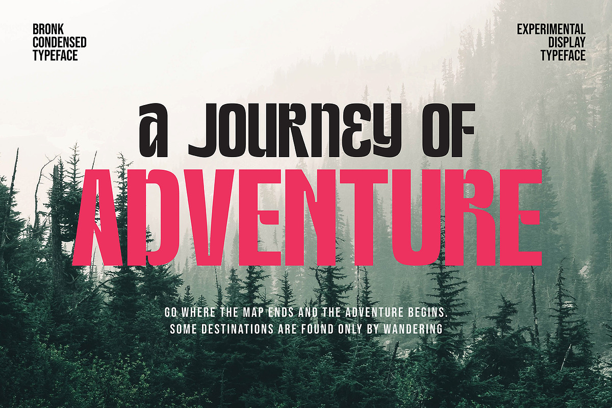 Bronk Condensed, a Sans Serif Font by executypeStudio (Photo 8 of 10)