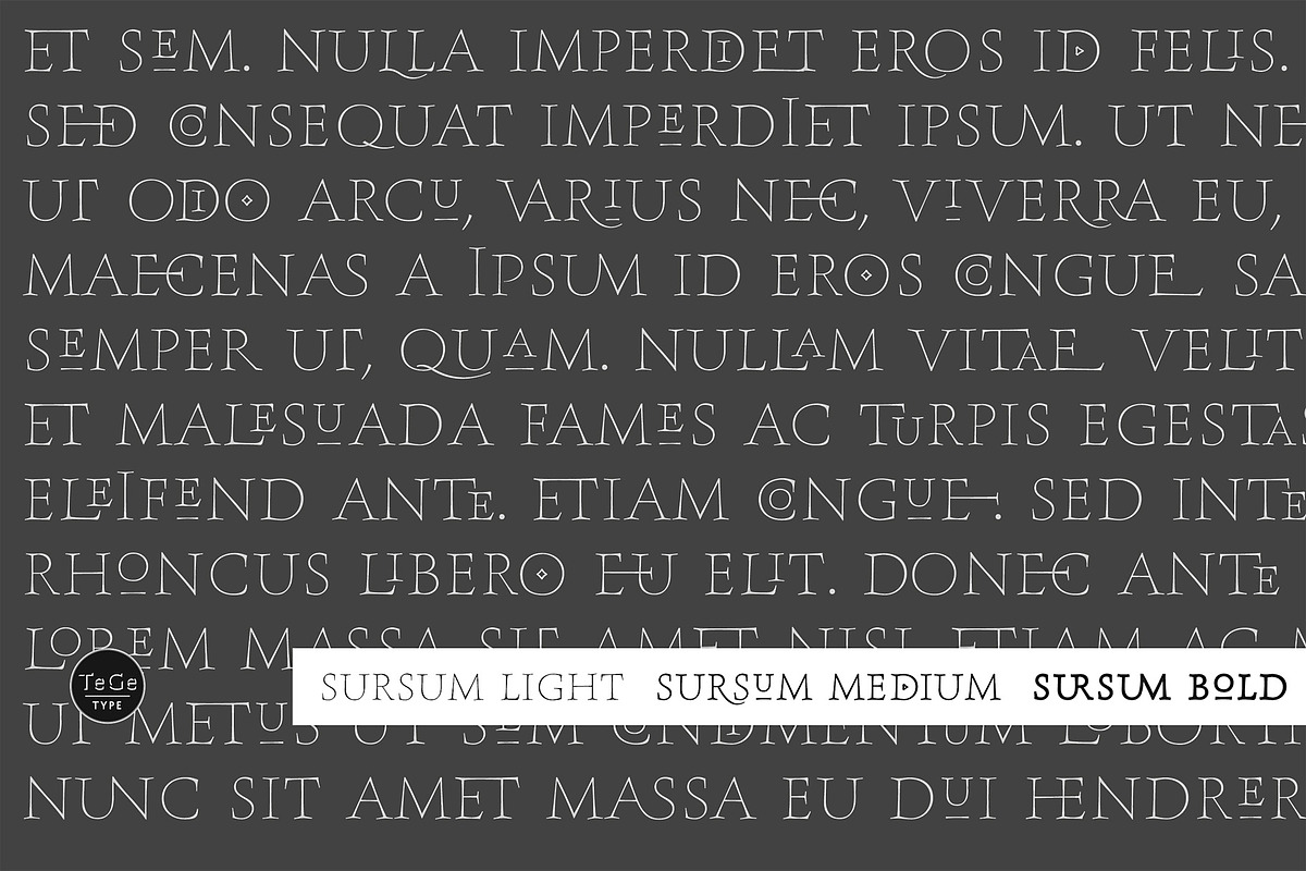 Sursum, a Serif Font by TeGeType foundry (Photo 1 of 5)