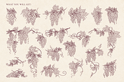 Vintage Grape Vector set Wine Labels, a Food Illustration by Neliakott ♥ (Thumbnail 2 of 10)