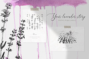 Hand drawn lavender collection, a Decorative Illustration by handsketched (Thumbnail 1 of 8)