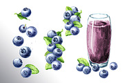 Blueberry. Watercolor collection, a Food Illustration by Daria Ustiugova (Thumbnail 11 of 25)