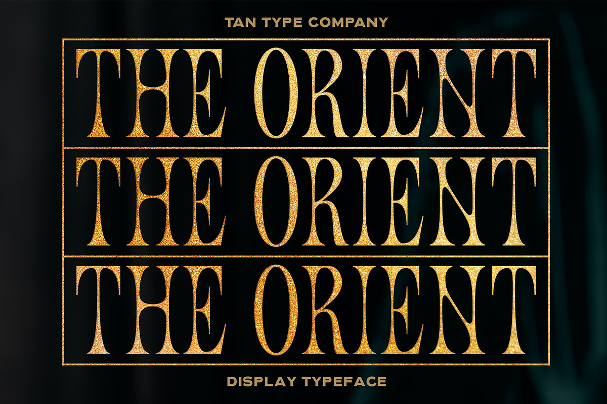 TAN - ORIENT, a Serif Font by TanType (Photo 1 of 11)