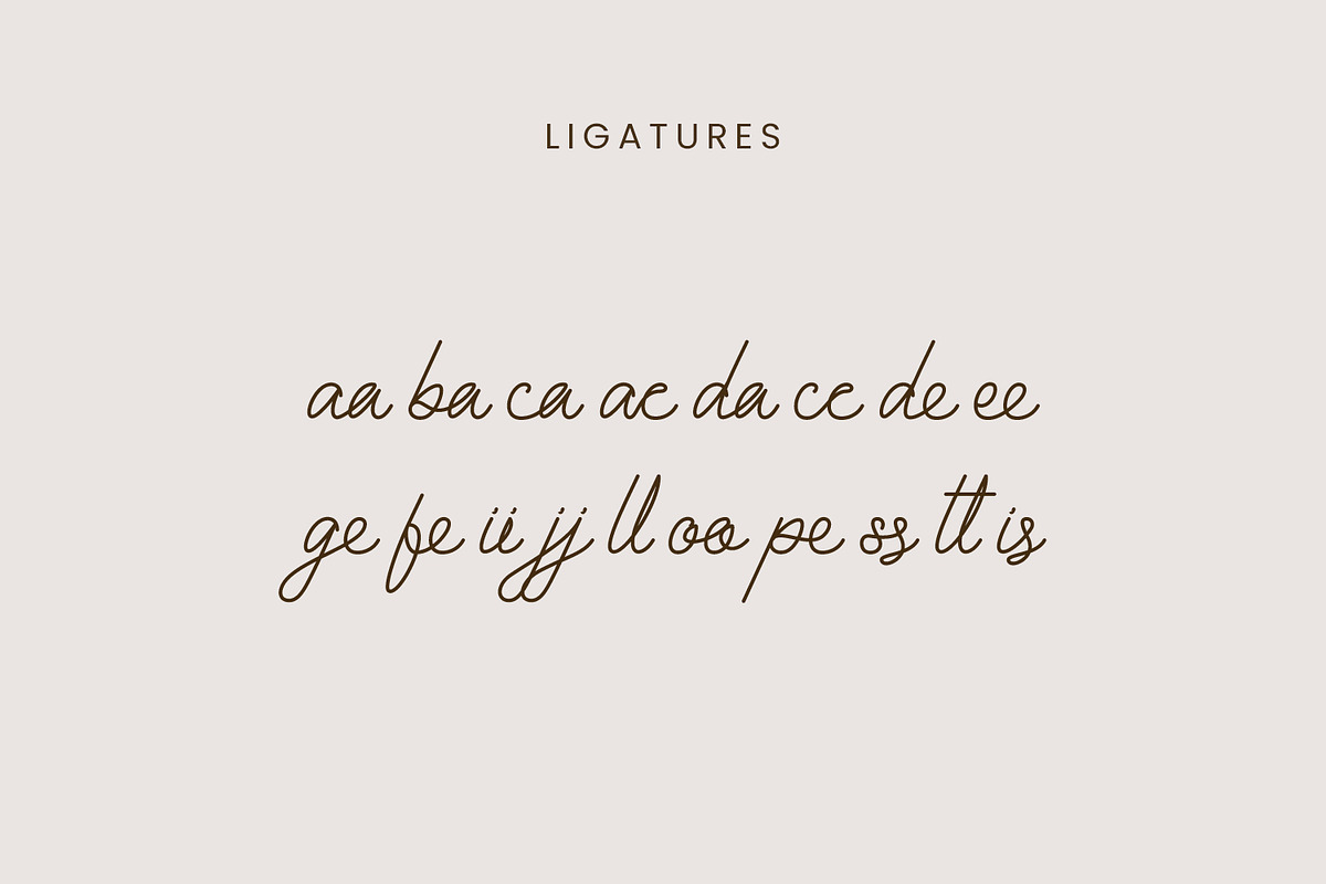 Glanbois - Monoline Script Font, a Script Font by Favo Write (Photo 10 of 12)