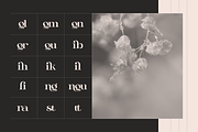 Aseno Modern - Ligatures Serif Font, a Serif Font by Nirmana Visual (Thumbnail 9 of 17)
