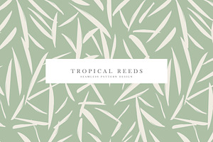 Tropical Reeds