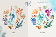 From The Sea Ocean Clipart, an Illustration by Twigs and Twine (Thumbnail 6 of 12)