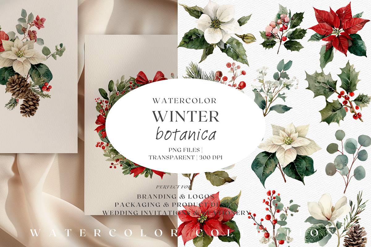 Watercolor Christmas Botanicals, a Decorative Illustration by ThaismotaCreativeCo (Photo 1 of 11)
