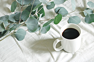 Eucalyptus + Coffee