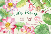 Lotus Flowers, an Illustration by Nataliapiache (Thumbnail 1 of 4)