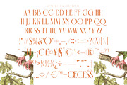 Mecoka Groove Elegant Serif Font, a Serif Font by timelesstype.co (Thumbnail 18 of 20)