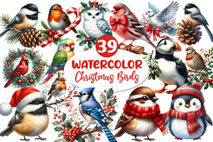 Christmas Birds Clipart, an Illustration by Dream Creation
