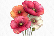 Whimsical Spring Poppy Flower Clipar, an Illustration by Craft Nest (Thumbnail 11 of 11)