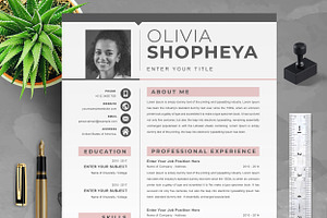 1 & 2 Page Professional Resume / CV