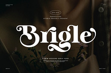Brigle Serif Font By Perfectyp