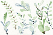 70% off. Bundle. Woodland animals., an Animal Illustration by TaPilipa (Thumbnail 34 of 38)