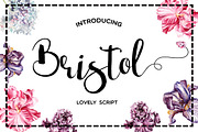 Bristol, a Script Font by Creamy Script (Thumbnail 1 of 5)