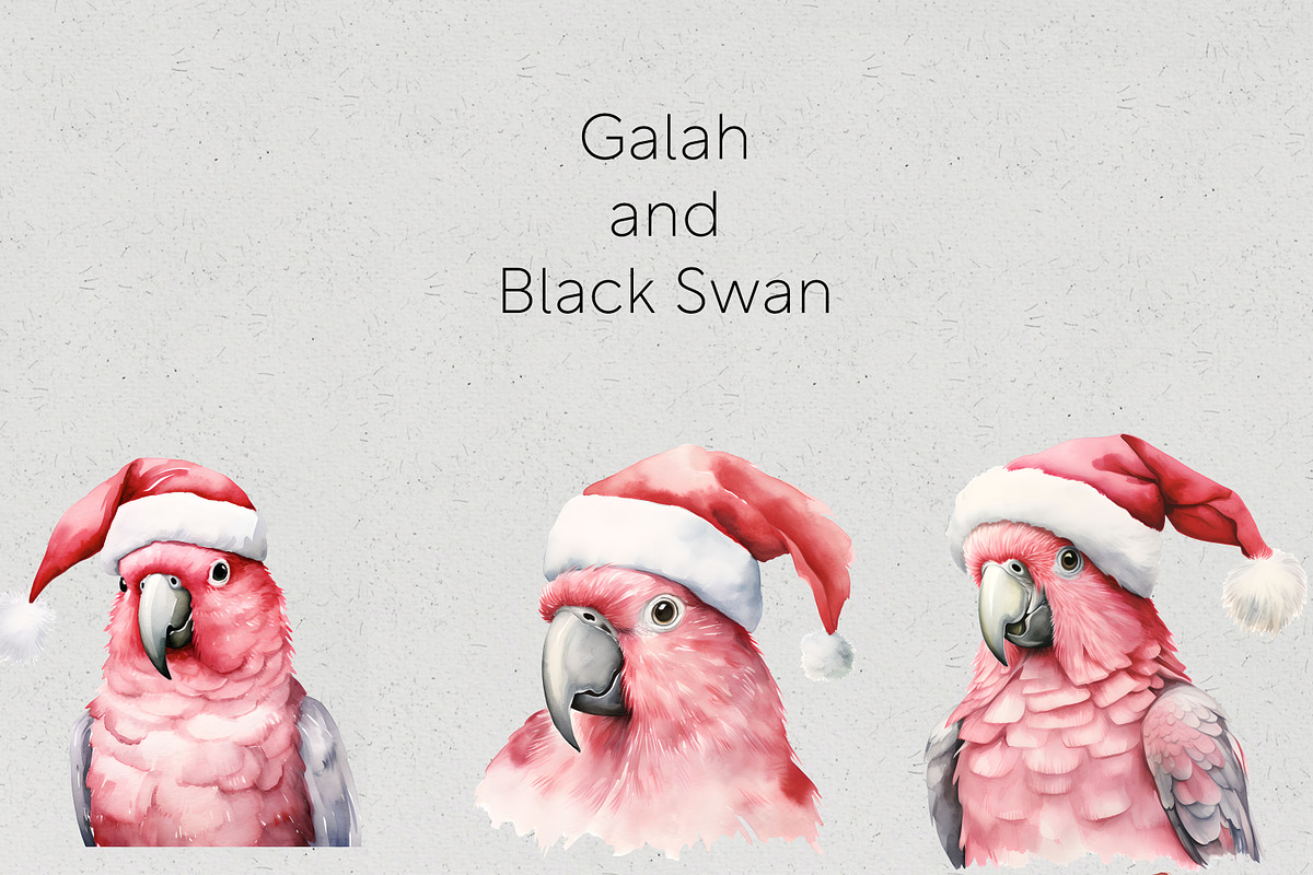 Christmas Australian Native Birds, a Seasonal Illustration by Pawcasso's Portraits (Photo 4 of 9)