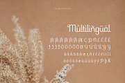 Fielke - Decorative Type, a Serif Font by ikiiko (Thumbnail 7 of 7)