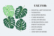Green Leaves Watercolor Clipart, an Illustration by Helospace (Thumbnail 8 of 10)