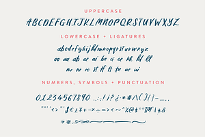 Lekker Handwritten Font