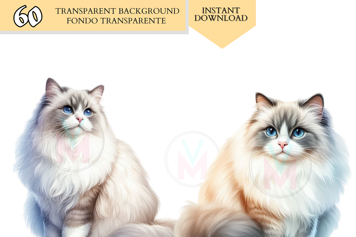 Cat Breeds PNG Bundle Cats Clipart, an Animal Illustration by VM PARTYS  BY TAIRUMA (Photo 4 of 10)