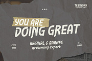 Tebinork - Corporate Display Font, a Handwritten Font by trabaskriya (Thumbnail 8 of 9)