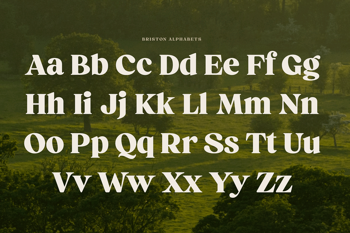 Briston Serif, a Serif Font by Fenotype (Photo 5 of 14)