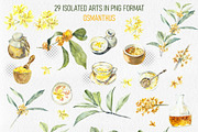 Golden Osmanthus Health Tea, a Food Illustration by Budogoshch (Thumbnail 2 of 8)