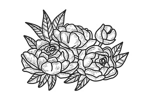 Peony Flower Sketch Vector