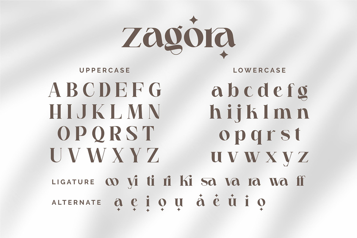 Zagora - Modern Font, a Serif Font by ErgibiStudio (Photo 9 of 10)