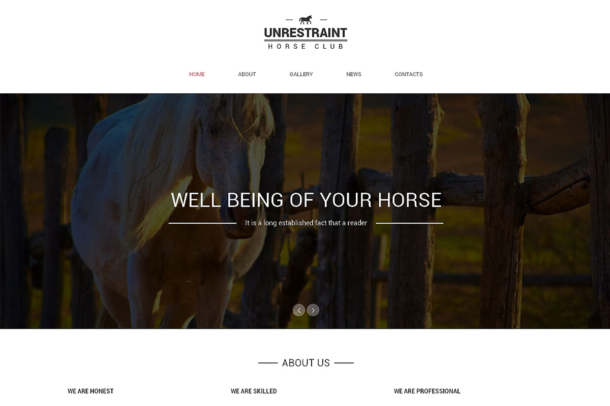 Unrestraint One Page Theme, a Landing Page Template by IceTemplates (Photo 1 of 3)