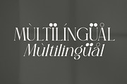 Sagire Modern Serif Font, a Serif Font by Storytype Studio (Thumbnail 12 of 15)