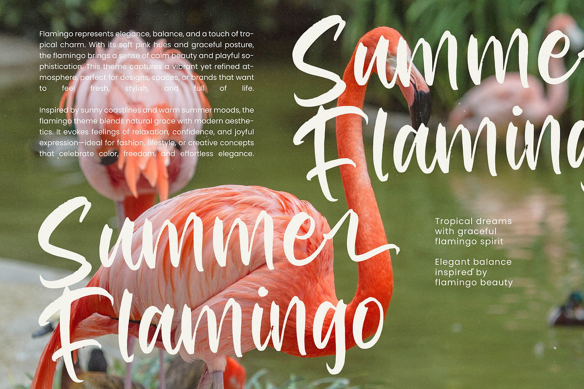 Redfish Grouper Bold Modern Handwr, a Script Font by stylishtype.co (Photo 10 of 20)