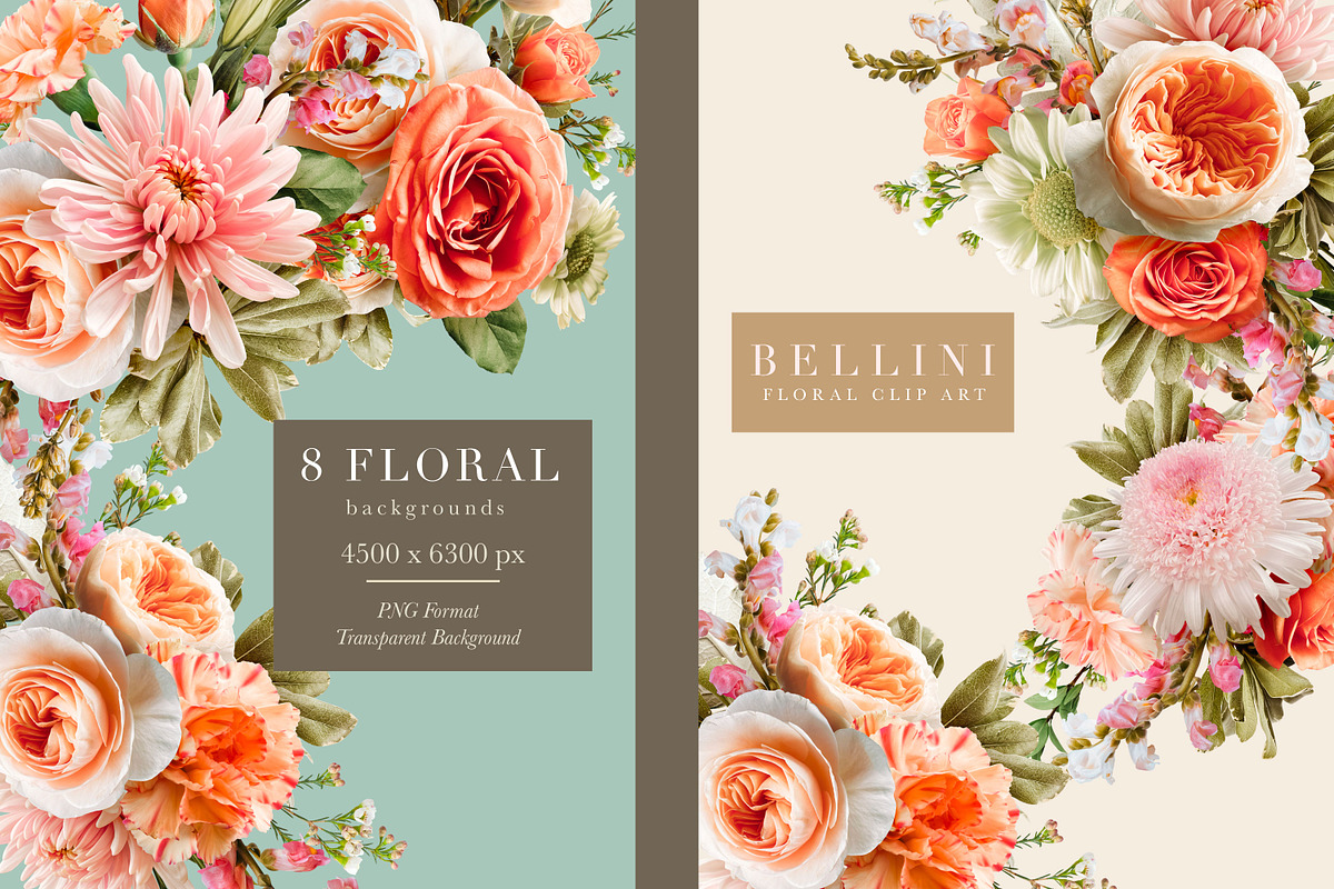 Bellini Floral Clip Art Collection, an Object Graphic by Eclectic Anthology (Photo 3 of 17)