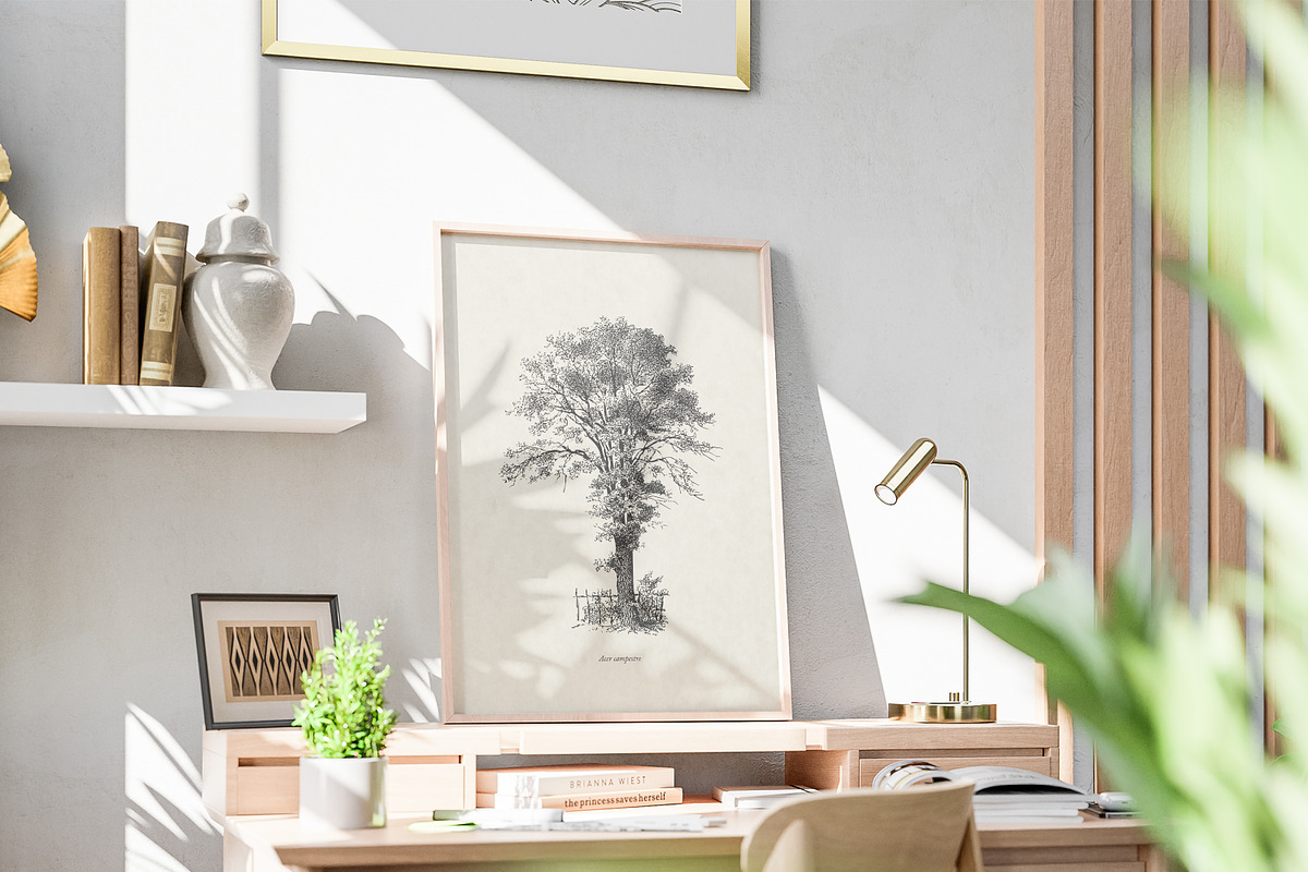 Vintage Tree Vector Bundle Vol. 5, an Object Illustration by Seaquint (Photo 3 of 5)